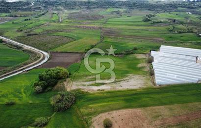 SERİK YUKARICATMA 10600 M2 ARAZİ 