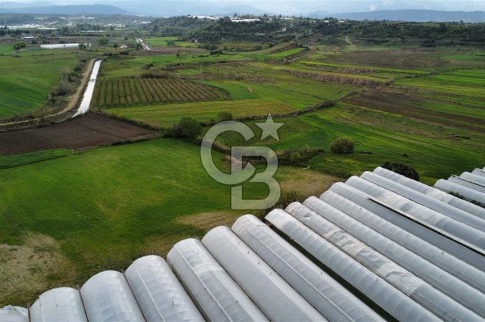 SERİK YUKARICATMA 10600 M2 ARAZİ 