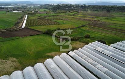 SERİK YUKARICATMA 10600 M2 ARAZİ 