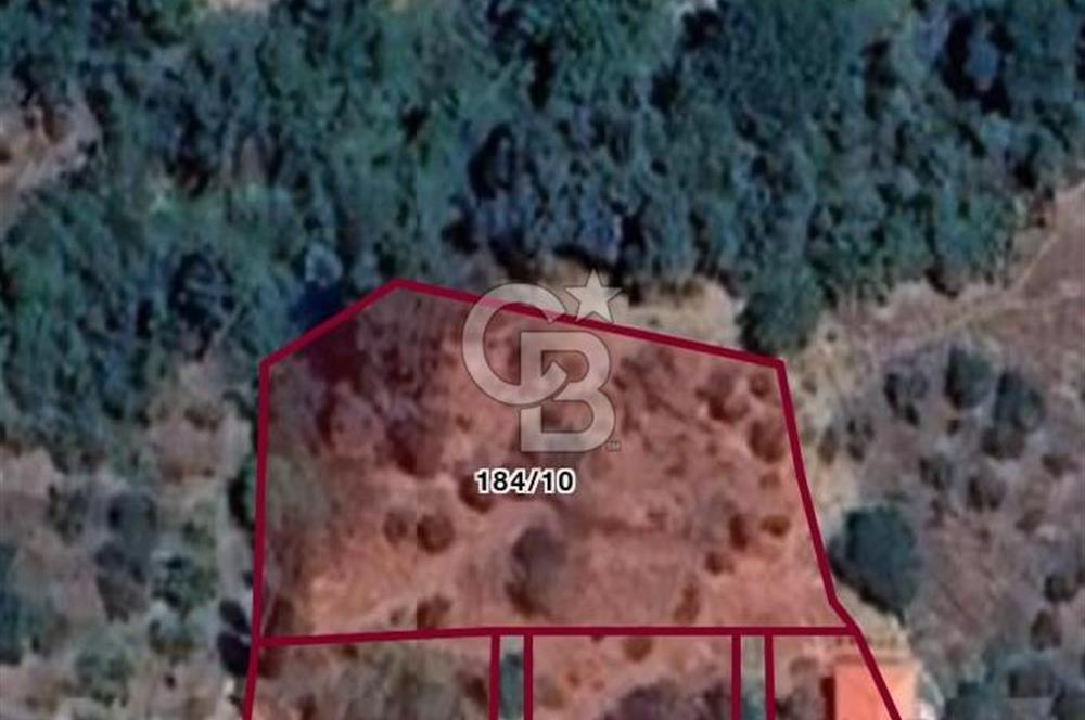 İzmir Bayındır Dernekli'de Köy İçi İmarlı Fırsat Arazi