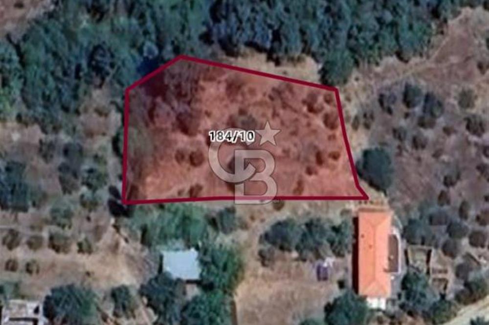 İzmir Bayındır Dernekli'de Köy İçi İmarlı Fırsat Arazi