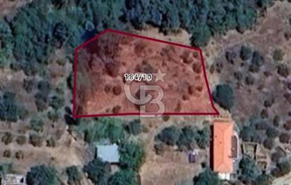 İzmir Bayındır Dernekli'de Köy İçi İmarlı Fırsat Arazi