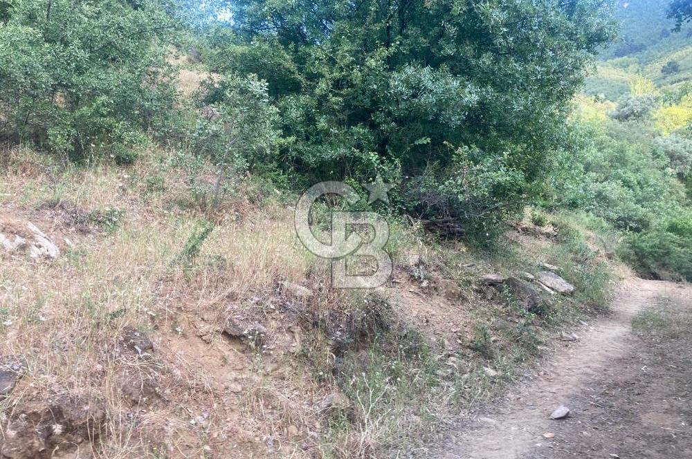 Bayındır'da Köye Yürüme Mesafesinde Satılık Tarla