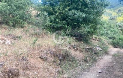 Bayındır'da Köye Yürüme Mesafesinde Satılık Tarla