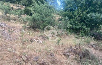 Bayındır'da Köye Yürüme Mesafesinde Satılık Tarla