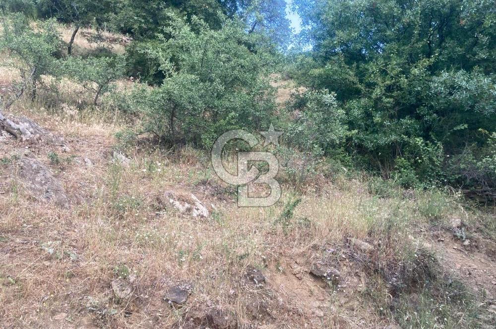 Bayındır'da Köye Yürüme Mesafesinde Satılık Tarla