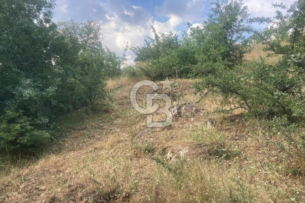 Bayındır'da Köye Yürüme Mesafesinde Satılık Tarla