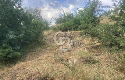 Bayındır'da Köye Yürüme Mesafesinde Satılık Tarla