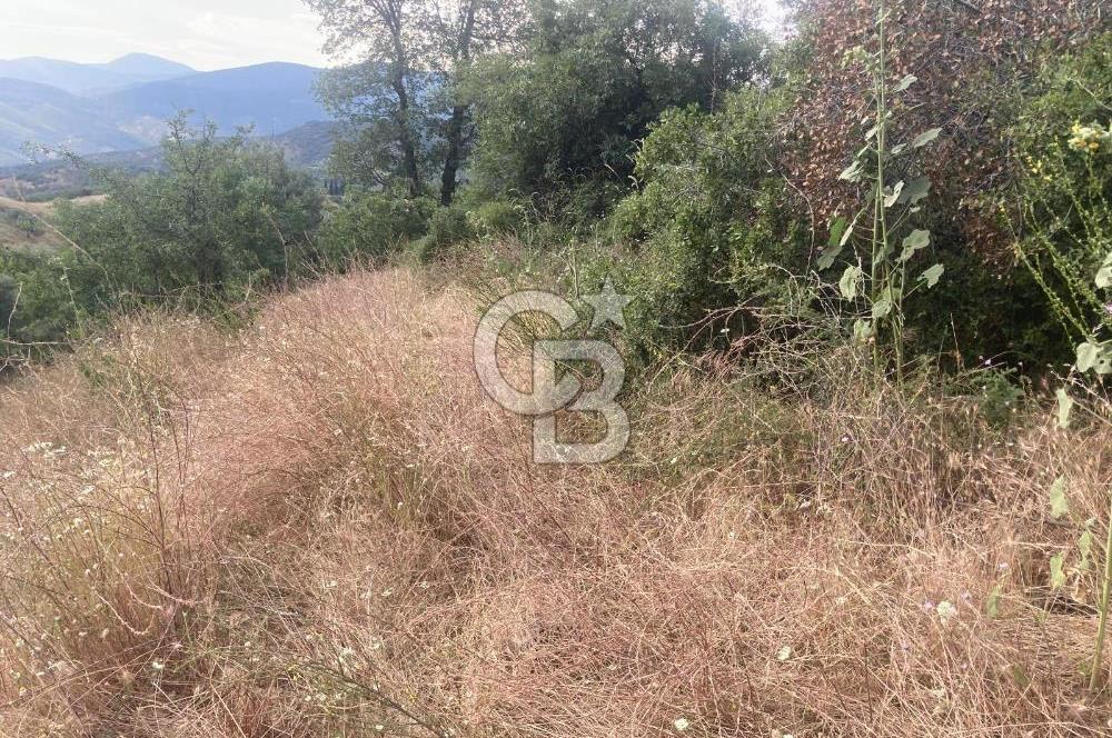 Bayındır'da Köye Yürüme Mesafesinde Satılık Tarla
