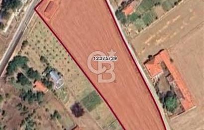 CB MARS'TAN ESKİŞEHİR'İN GELİŞEN BÖLGESİ KAVACIK'TA DEĞERLİ ARSA