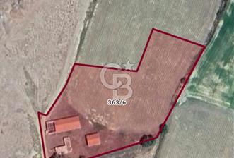 Yeşilevler'de Merkezi konumda Çiftlik ve arazisi