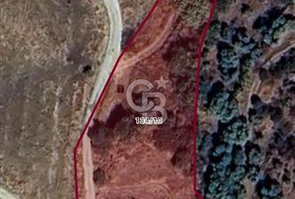 Kırtepe köyünde sulu tarıma elverişli yolu açık tarla