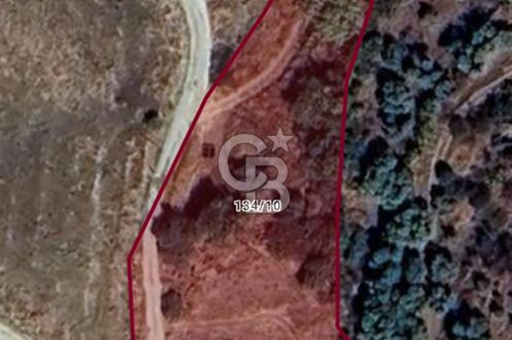 Kırtepe köyünde sulu tarıma elverişli yolu açık tarla