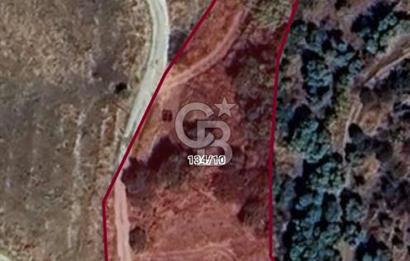 Kırtepe köyünde sulu tarıma elverişli yolu açık tarla