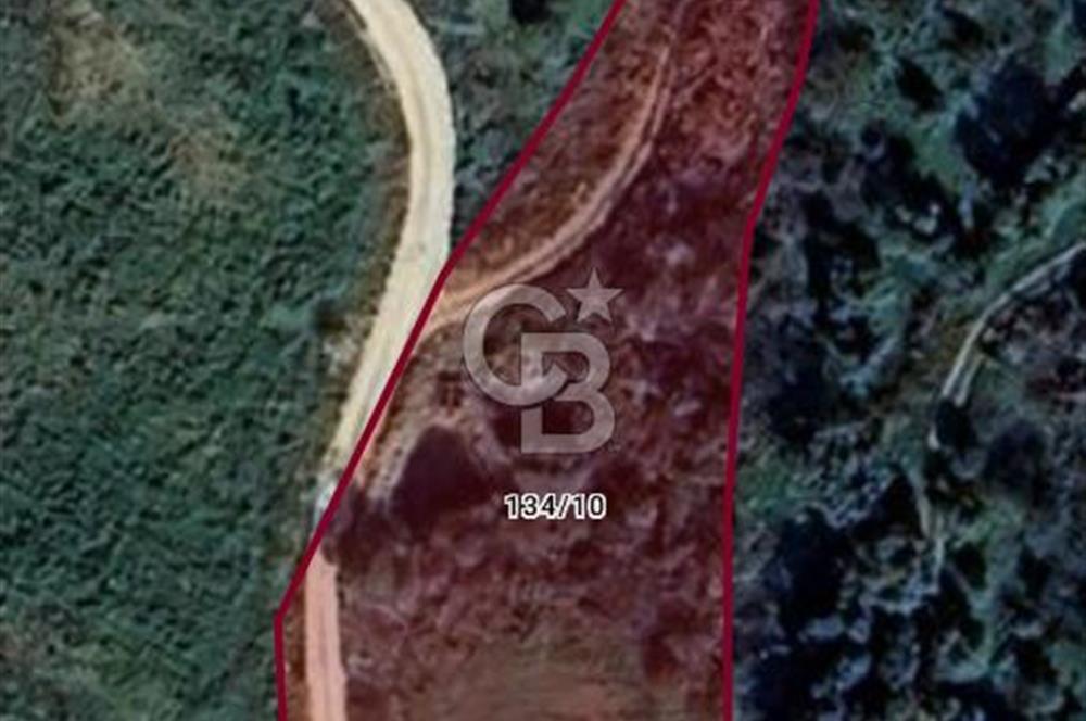 Kırtepe köyünde sulu tarıma elverişli yolu açık tarla