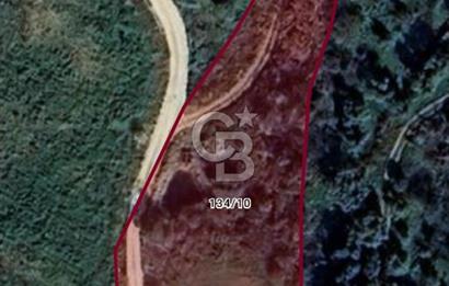 Kırtepe köyünde sulu tarıma elverişli yolu açık tarla