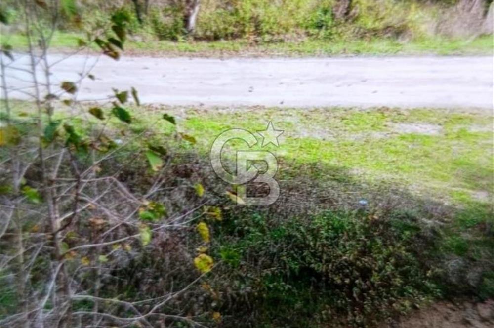 BOLU MERKEZ MERKEŞLER KÖYÜ TEK TAPU FIRSAT TARLA