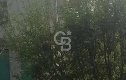 MUĞLA MİLAS DA SATILIK ARSA