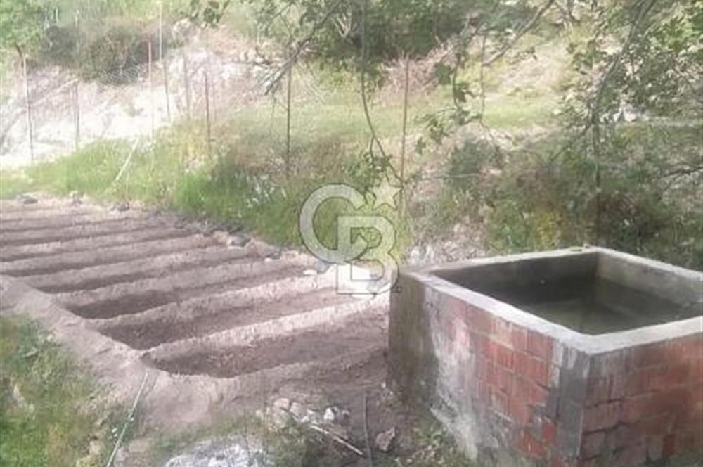 MUĞLA MİLAS DA SATILIK ARSA
