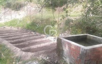 MUĞLA MİLAS DA SATILIK ARSA