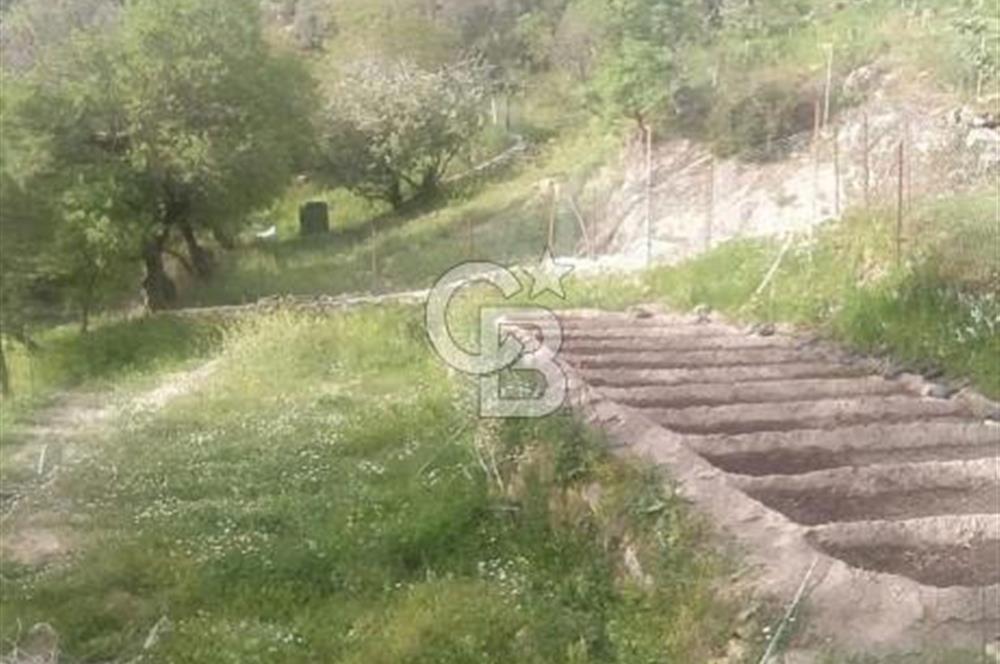 MUĞLA MİLAS DA SATILIK ARSA