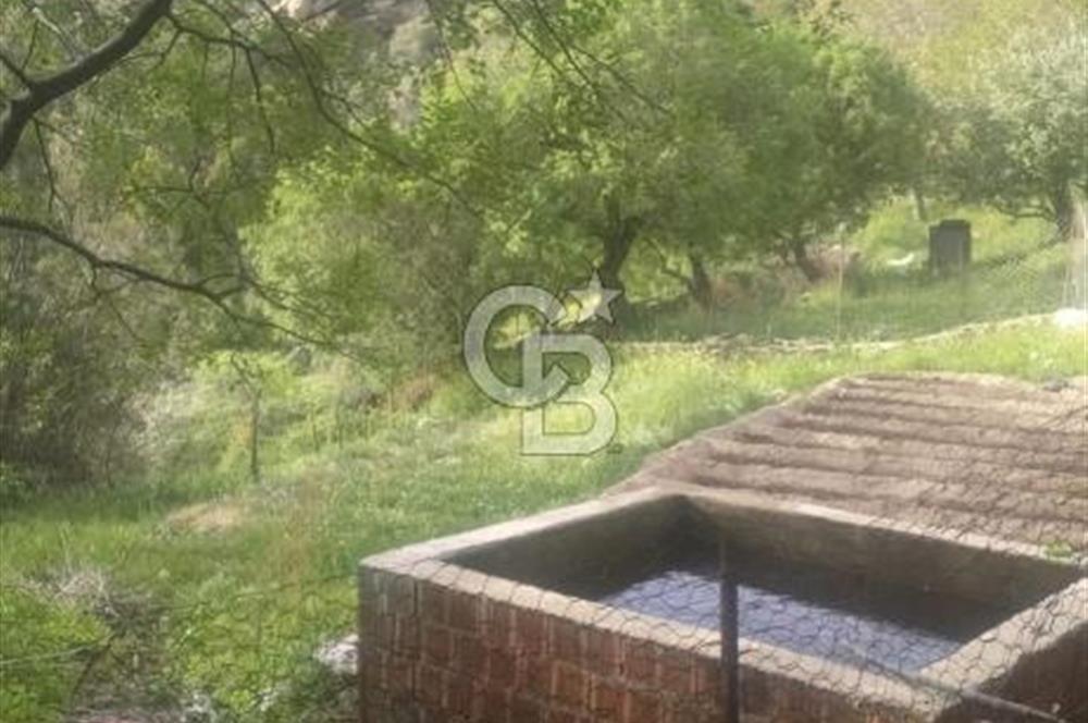 MUĞLA MİLAS DA SATILIK ARSA