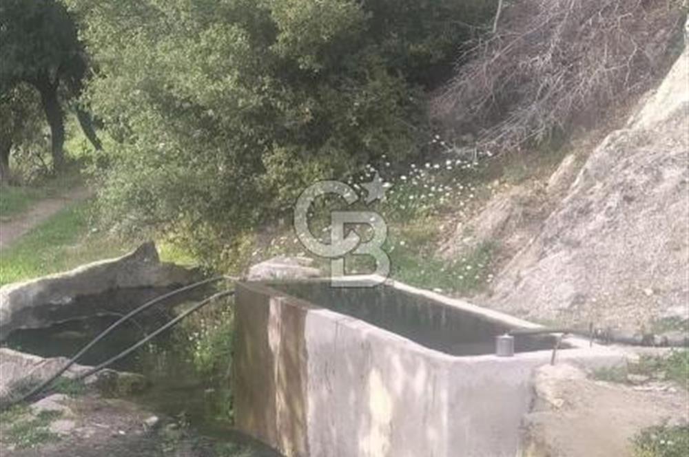 MUĞLA MİLAS DA SATILIK ARSA