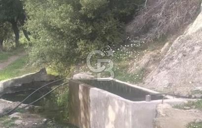 MUĞLA MİLAS DA SATILIK ARSA