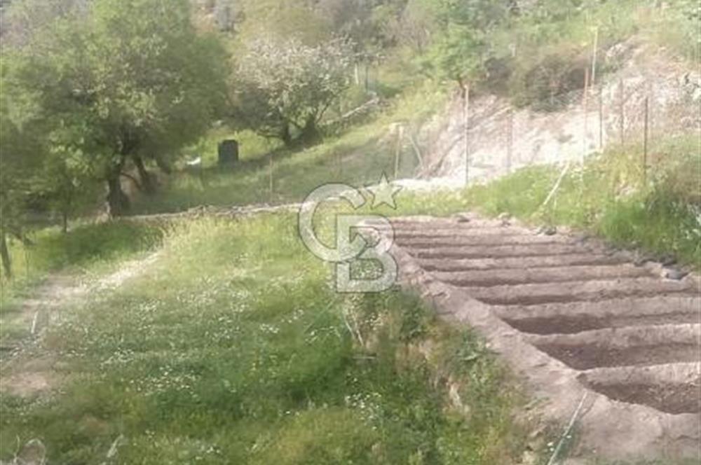 MUĞLA MİLAS DA SATILIK ARSA