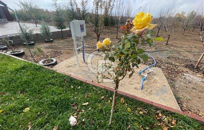 ANKARA ELMADAĞ'DA 5.556 m2 BAHÇE İÇİNDE LÜKS YAPILI EŞYALI EV