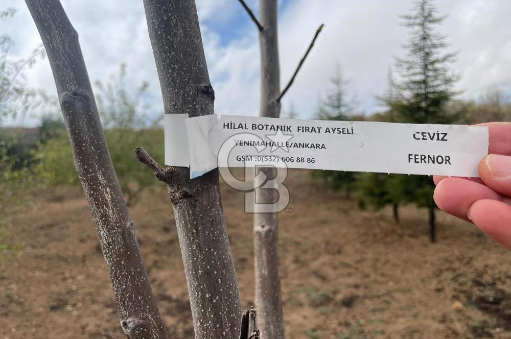 ANKARA ELMADAĞ'DA 5.556 m2 BAHÇE İÇİNDE LÜKS YAPILI EŞYALI EV