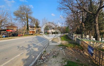 YALOVA TERMAL YENİMAHALLEDE SATILIK 456 M2 ARSA !