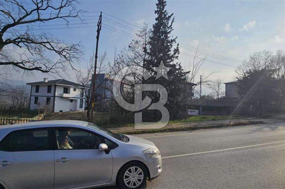 YALOVA TERMAL YENİMAHALLEDE SATILIK 456 M2 ARSA !