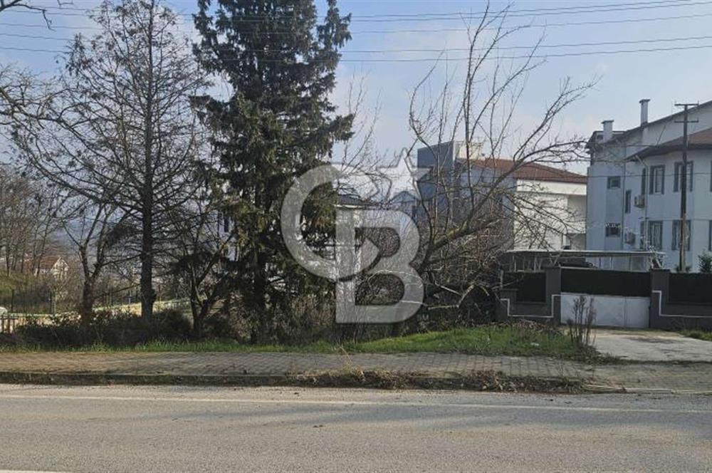 YALOVA TERMAL YENİMAHALLEDE SATILIK 456 M2 ARSA !