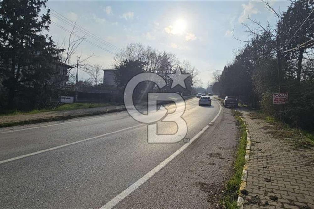 YALOVA TERMAL YENİMAHALLEDE SATILIK 456 M2 ARSA !