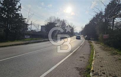 YALOVA TERMAL YENİMAHALLEDE SATILIK 456 M2 ARSA !