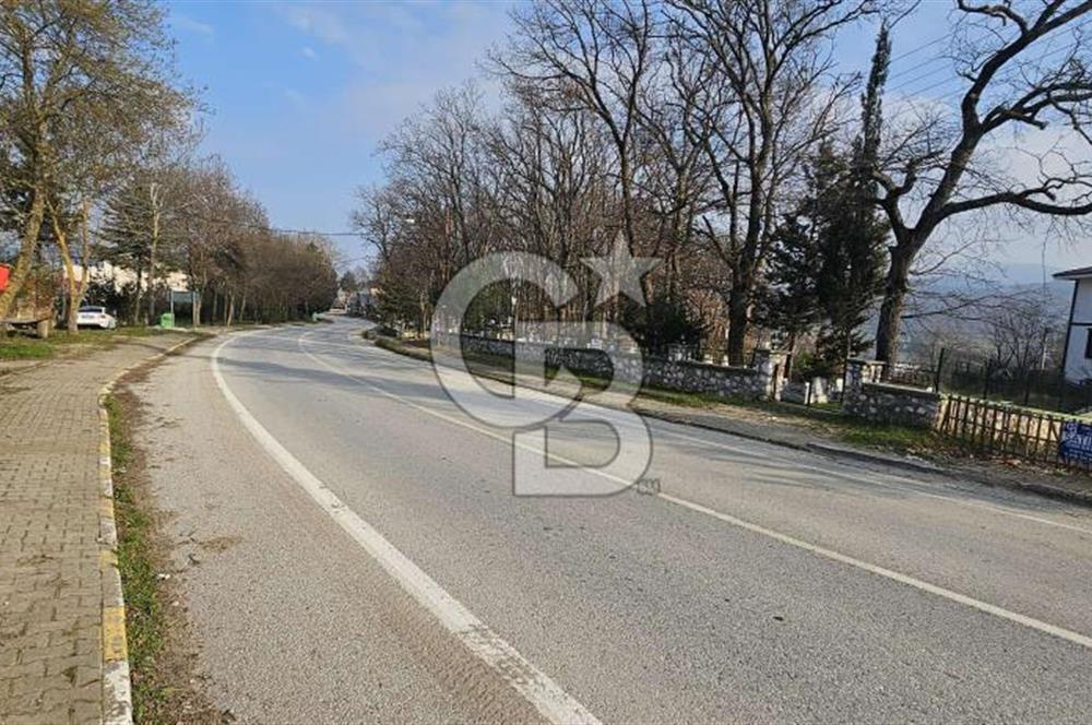 YALOVA TERMAL YENİMAHALLEDE SATILIK 456 M2 ARSA !