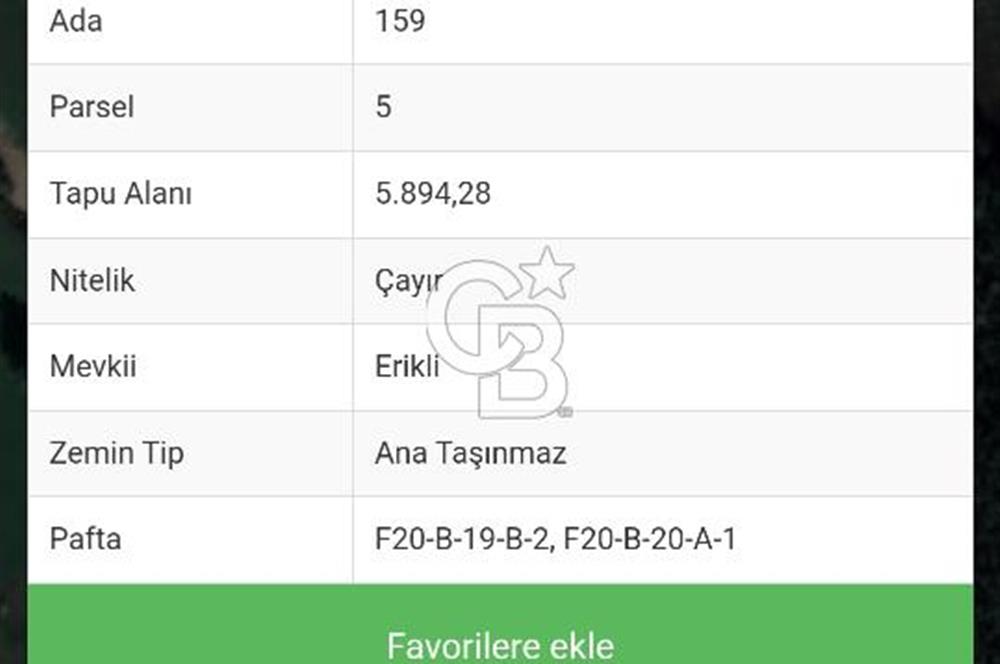 Çatalca başakköyde tarla