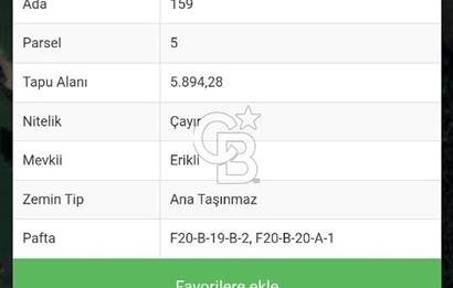 Çatalca başakköyde tarla