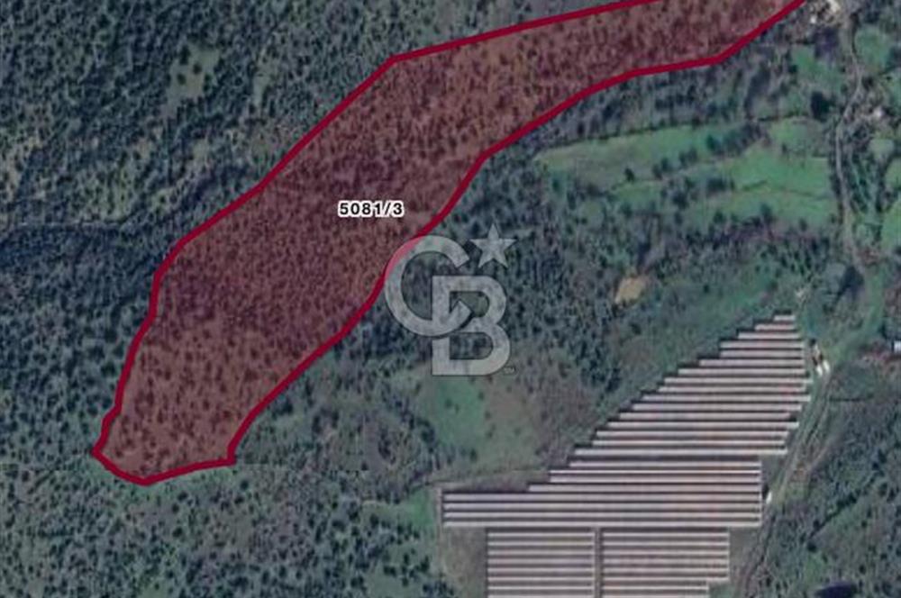 GÜZELHİSAR BARAJI MANZARALI 60 DÖNÜM 72 HİSSELİ ARAZİ