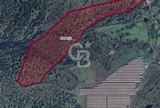 GÜZELHİSAR BARAJI MANZARALI 60 DÖNÜM 72 HİSSELİ ARAZİ