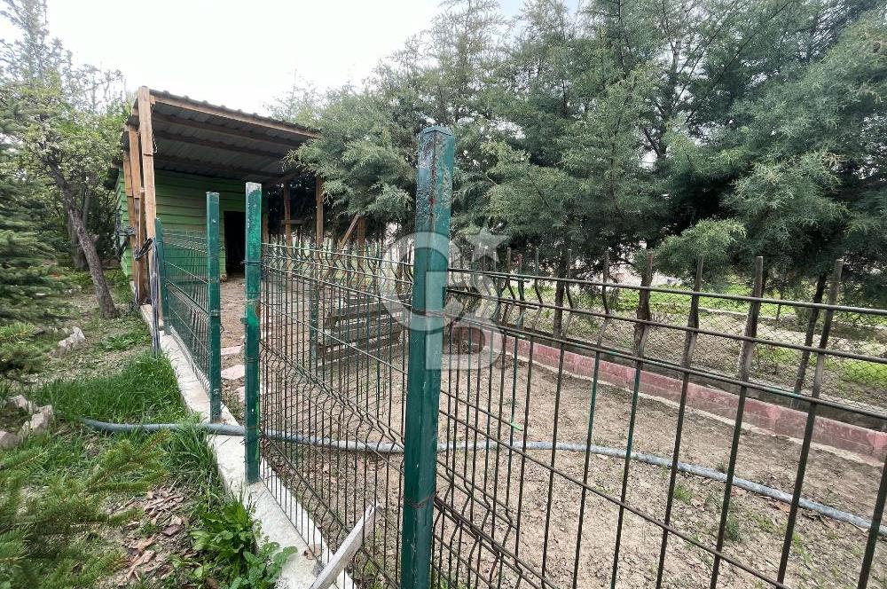 HASANOĞLAN GİRİŞİNDE YÜKSEK KATA UYGUN 793 M2 SATILIK ARSA