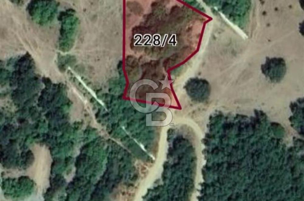 TEKİRDAĞ ,ŞARKÖY, MURSALLI'DA TEK TAPULU 2311 M2 TARLA