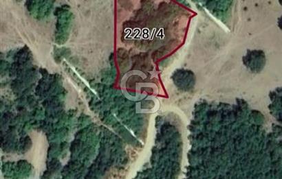 TEKİRDAĞ ,ŞARKÖY, MURSALLI'DA TEK TAPULU 2311 M2 TARLA