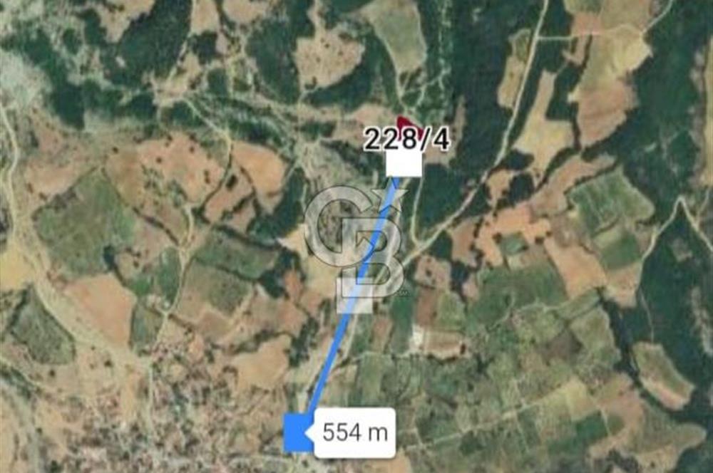 TEKİRDAĞ ,ŞARKÖY, MURSALLI'DA TEK TAPULU 2311 M2 TARLA