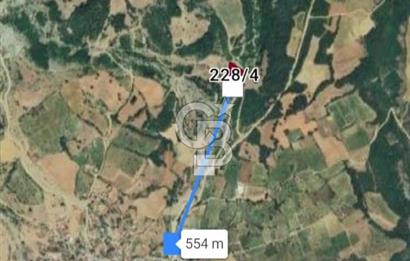 TEKİRDAĞ ,ŞARKÖY, MURSALLI'DA TEK TAPULU 2311 M2 TARLA