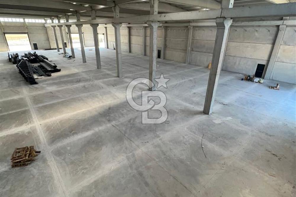 Menderes, Oğlananası Atatürk Mahallesi Kiralık Depo