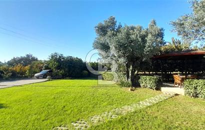 ALTINOVA CUMHURİYET MAH. 5350 M2 ARAZİ VE İÇİNDE SATILIK VİLLA!