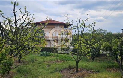 ALTINOVA CUMHURİYET MAH. 5350 M2 ARAZİ VE İÇİNDE SATILIK VİLLA!