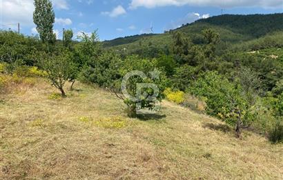 İzmir Bayındır Dernekli'de Köy İçi İmarlı Fırsat Arazi